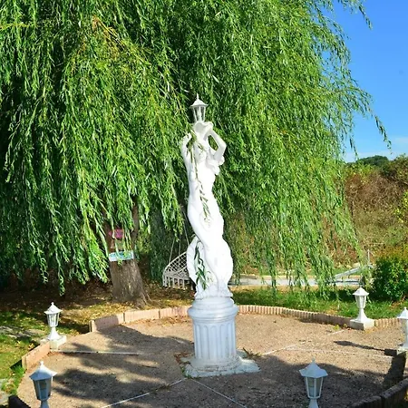 D Jacuzzi Piscine Sauna Prives