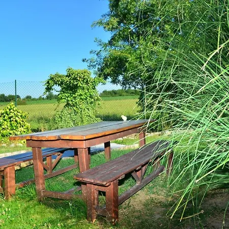 D Jacuzzi Piscine Sauna Prives Villematier